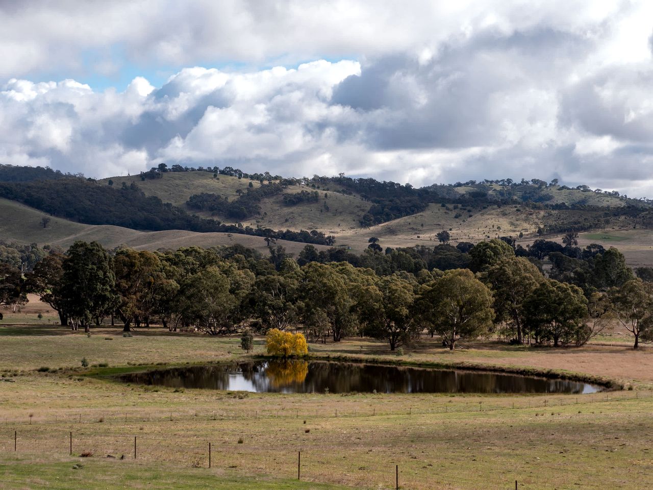 Rustic Tiny House Farm Stay Surrounded by Nature near Pyrenees Wine Region, Victoria