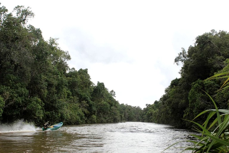 Safari Tents (Trapeang Rung, Koh Kong Province, Cambodia)