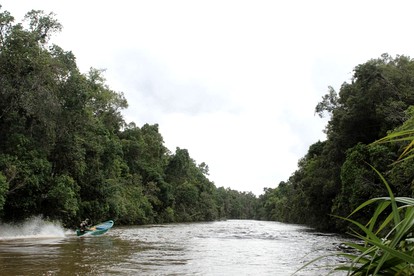 Luxury Safari Tent in Botum Sakor National Park in Koh Kong, Cambodia - Photo 3