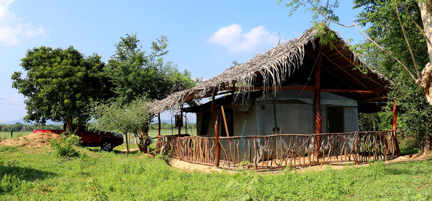 Luxury Tents with Breakfast Included near Yala National Park, Sri Lanka