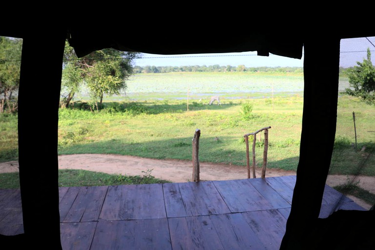 Safari Tents (Yoda Kandiya, Southern Province, Sri Lanka)