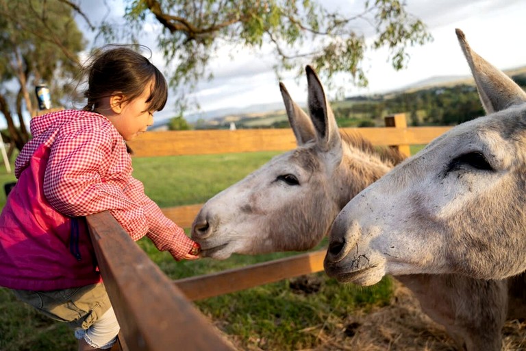 Tiny Houses (Australia, Dixons Creek, Victoria)