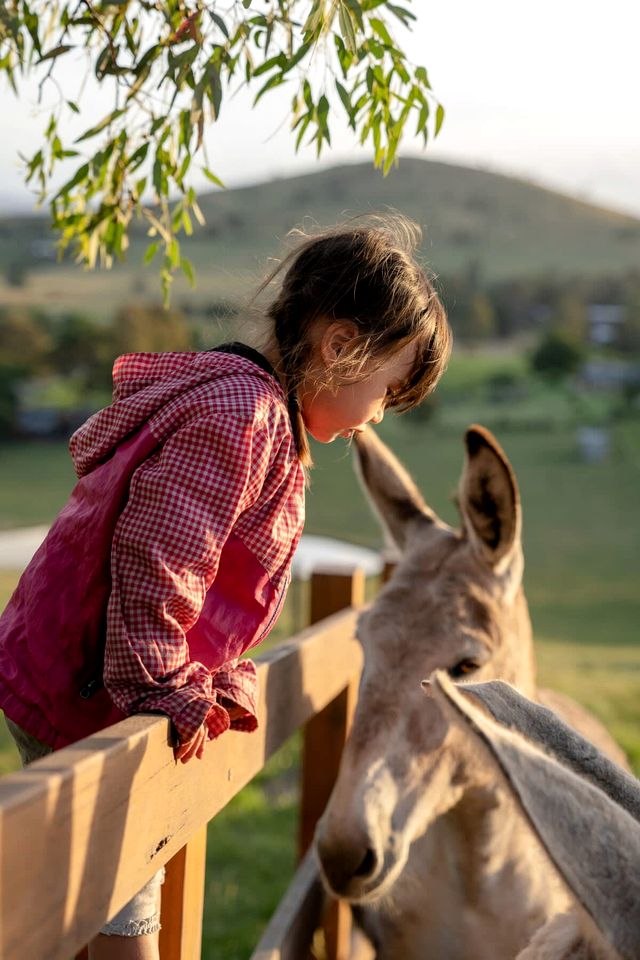 Yarra Valley Accommodation Ideal for Victoria Glamping