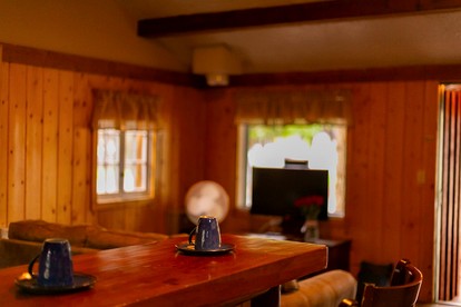 Incredible Cabin with Gorgeous Forest Views in Dubois, Wyoming photo 4