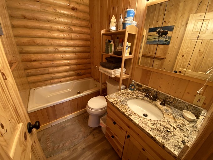 Cabins (United States of America, Idaho City, Idaho)