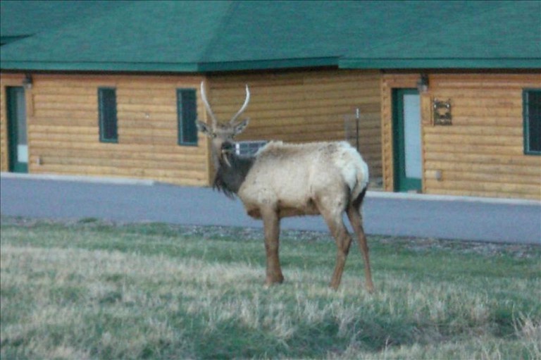 Cabins (Bozeman, Montana, United States)