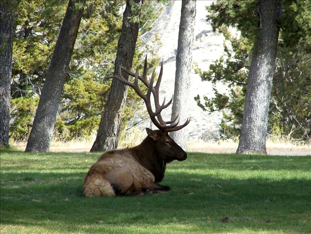 Charming Cabin Rental on the Banks of the Yellowstone River, Montana