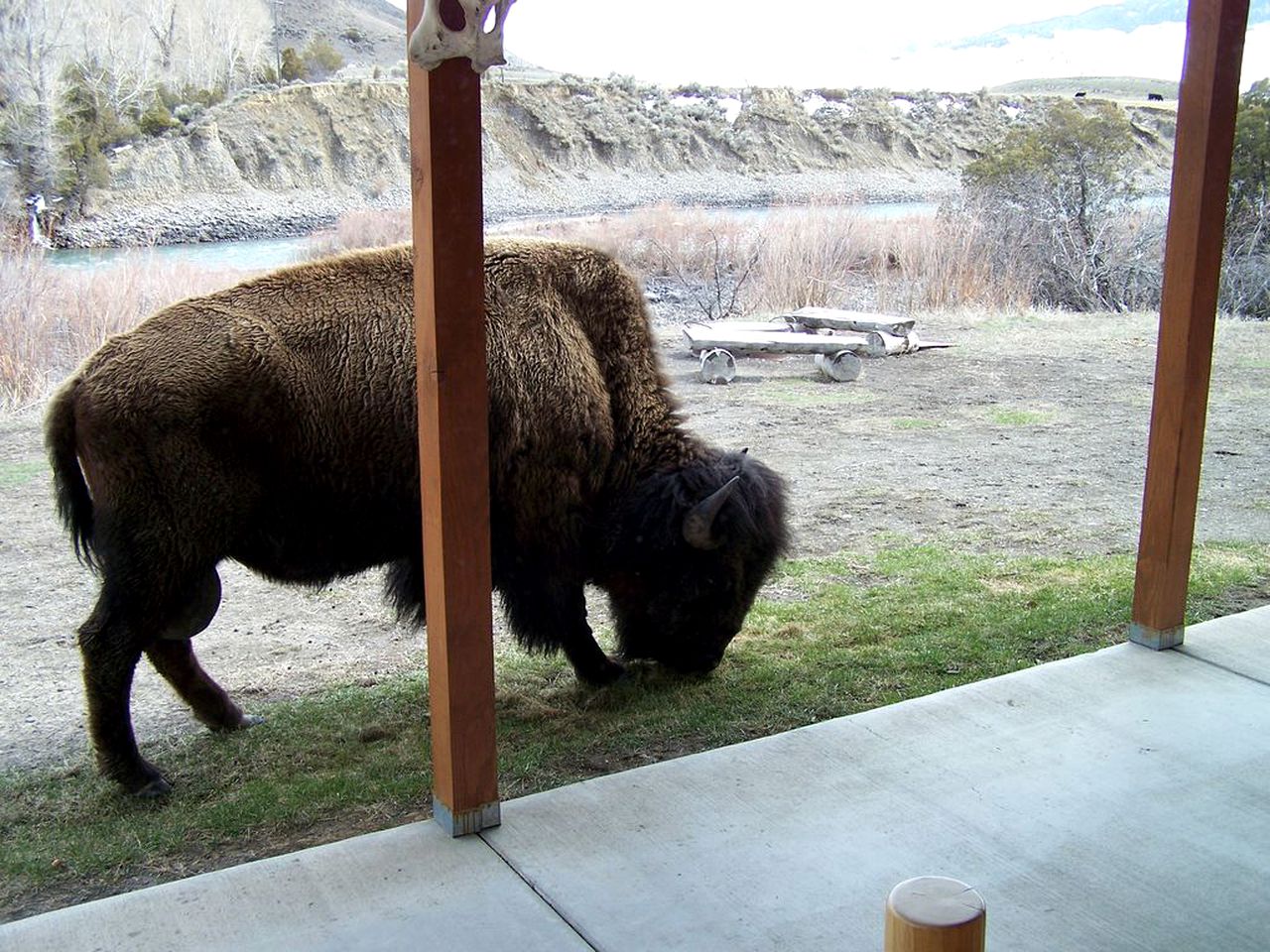 Charming Cabin Rental on the Banks of the Yellowstone River, Montana