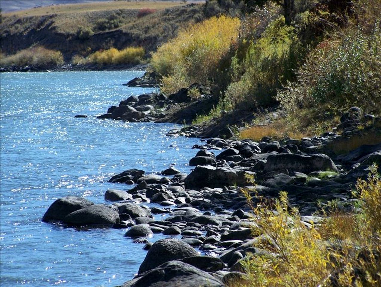 Charming Cabin Rental on the Banks of the Yellowstone River, Montana