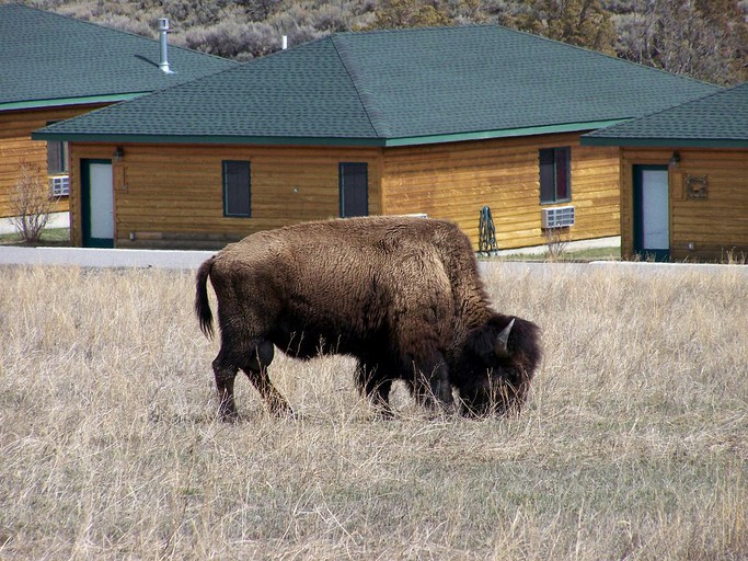 Cabins (Bozeman, Montana, United States)