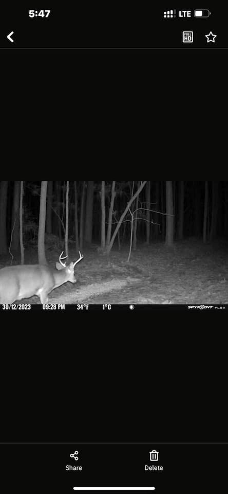 Unforgettable Sasquatch Ranch Retreat with Goats & Beach Area near Littleton, NC