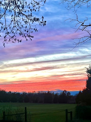 Tiny Houses (United States of America, Littleton, North Carolina)