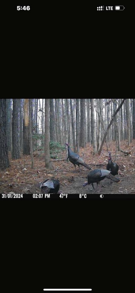 Unforgettable Sasquatch Ranch Retreat with Goats & Beach Area near Littleton, NC