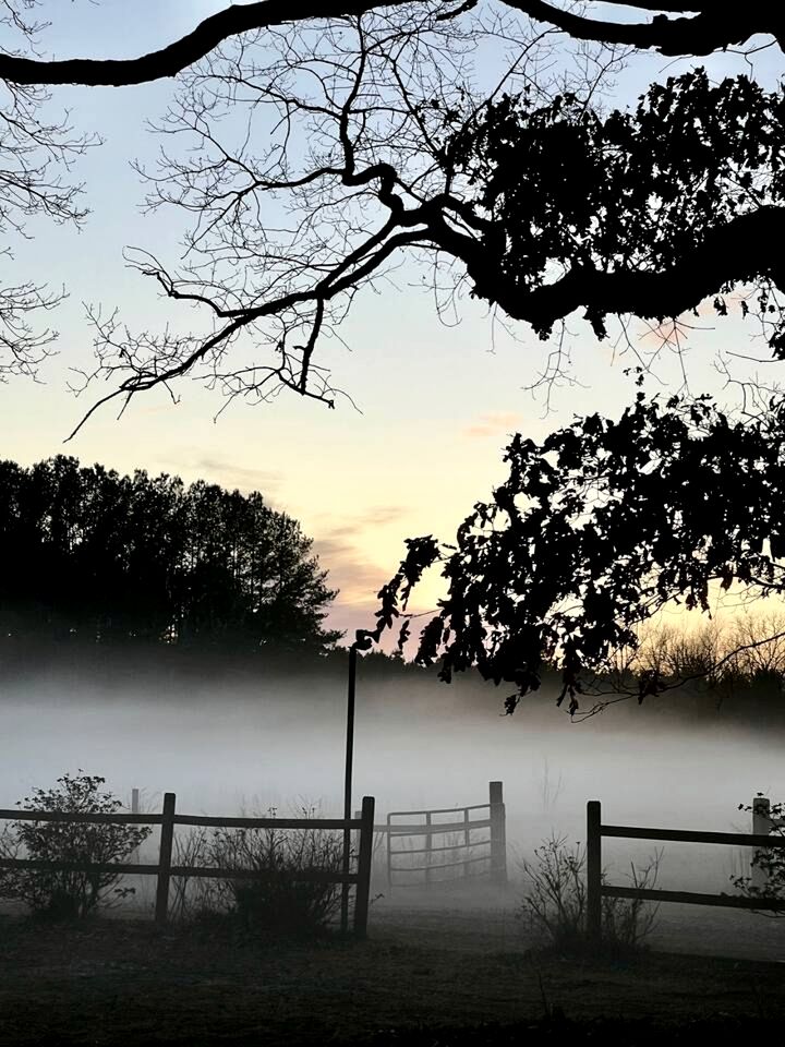 Unforgettable Sasquatch Ranch Retreat with Goats & Beach Area near Littleton, NC