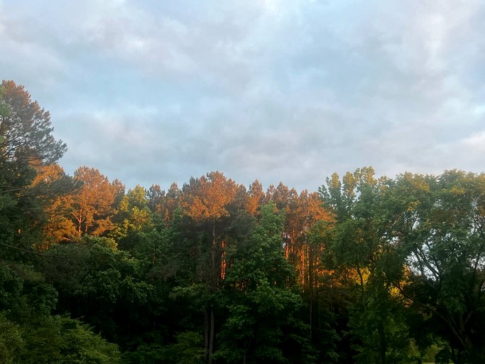 Tiny Houses (United States of America, Littleton, North Carolina)