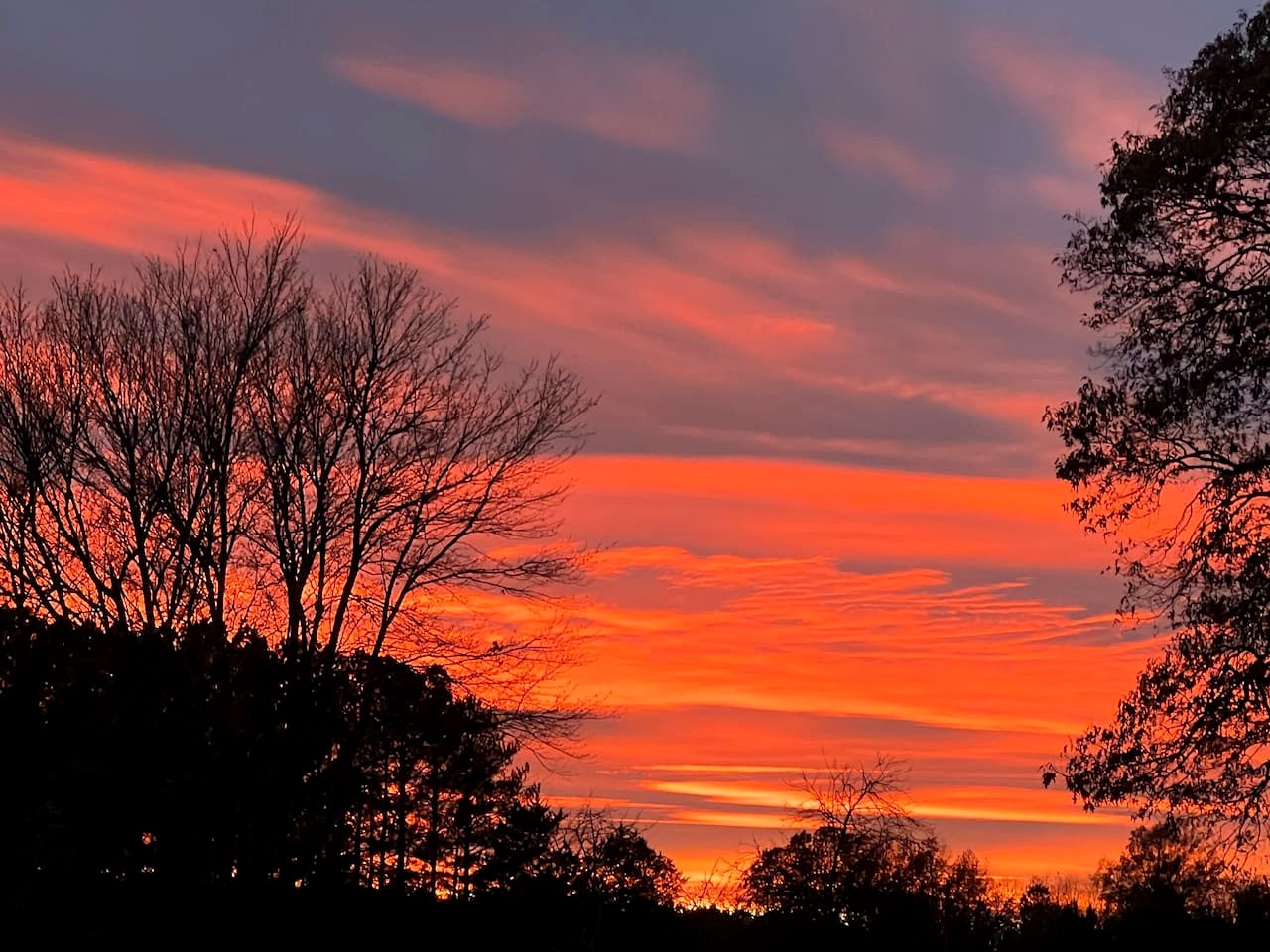 Unforgettable Sasquatch Ranch Retreat with Goats & Beach Area near Littleton, NC