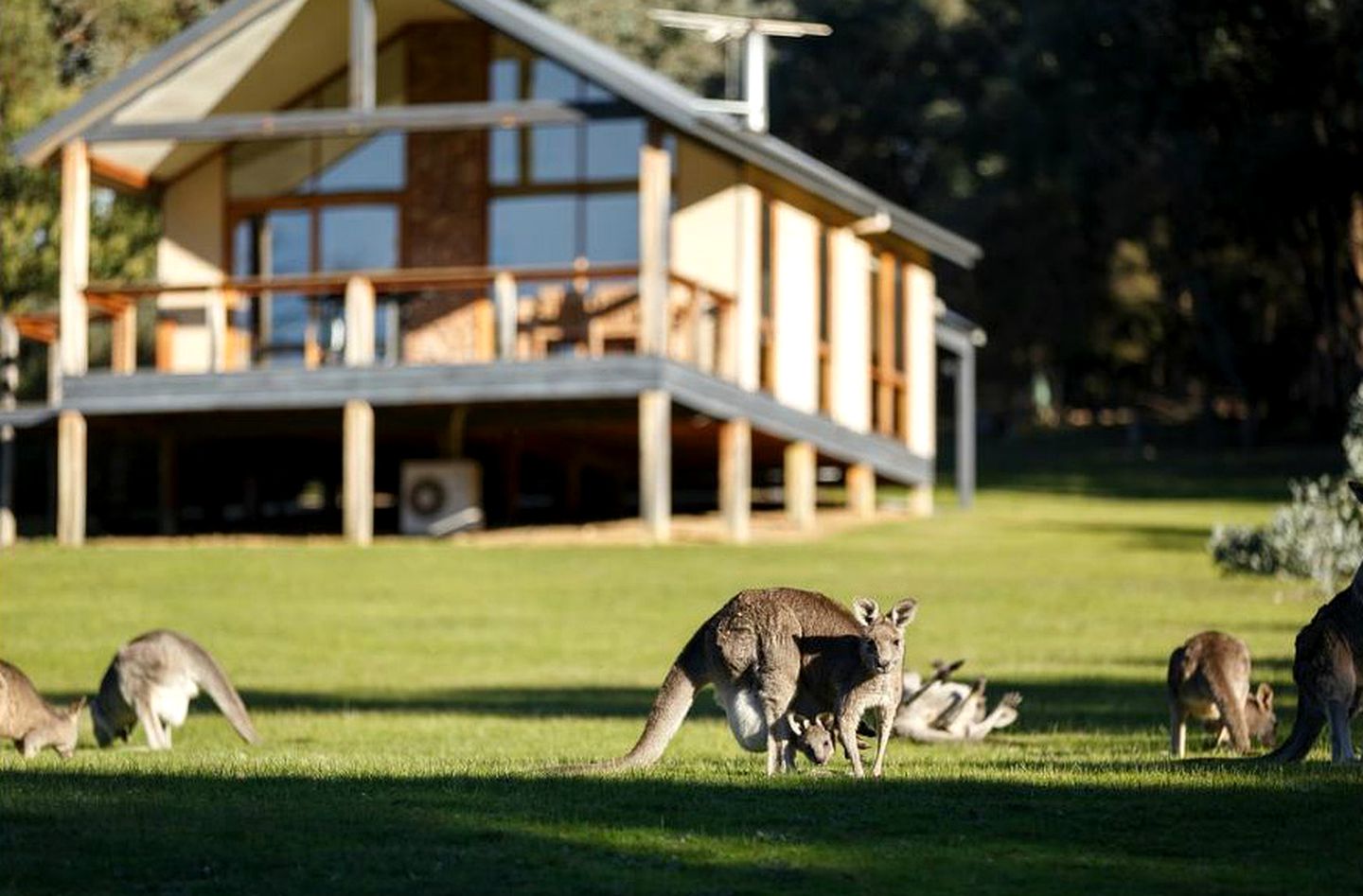 Luxury Cottage Rental for a Relaxing Holiday in the Yarra Valley near Melbourne, Australia