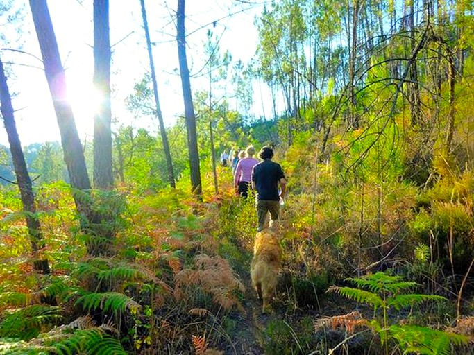 Cottages (Beira Baixo, Coimbra District, Portugal)