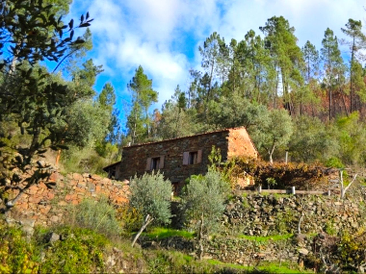 Gorgeous Stone Cottage on a Yoga Retreat near Coimbra, Portugal