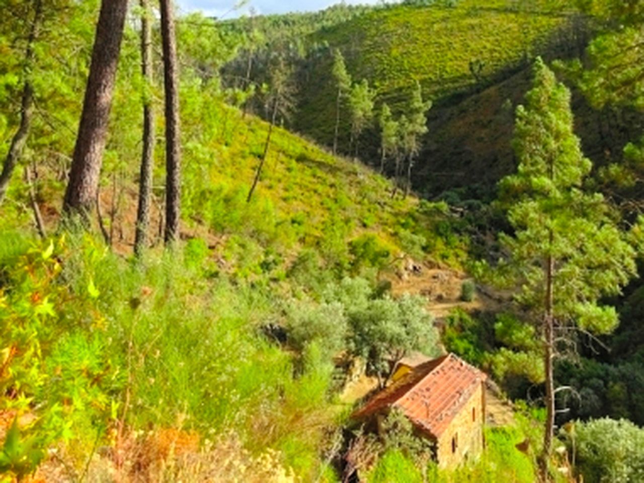 Gorgeous Stone Cottage on a Yoga Retreat near Coimbra, Portugal
