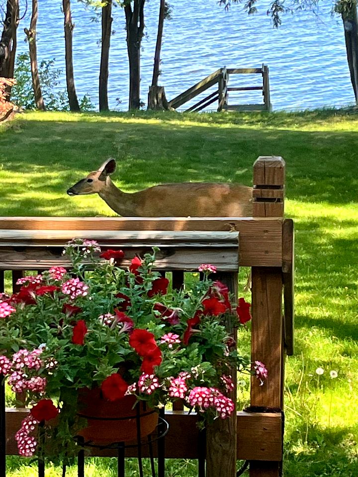 Cozy Lakefront Retreat | Fire Pit, Pet-Friendly & Scenic Views near Sturgeon Bay, WI