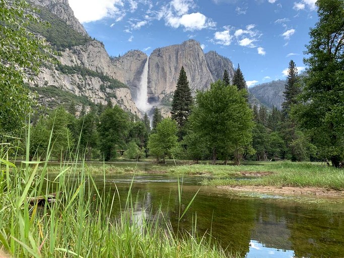 Cabins (United States of America, Wawona, California)