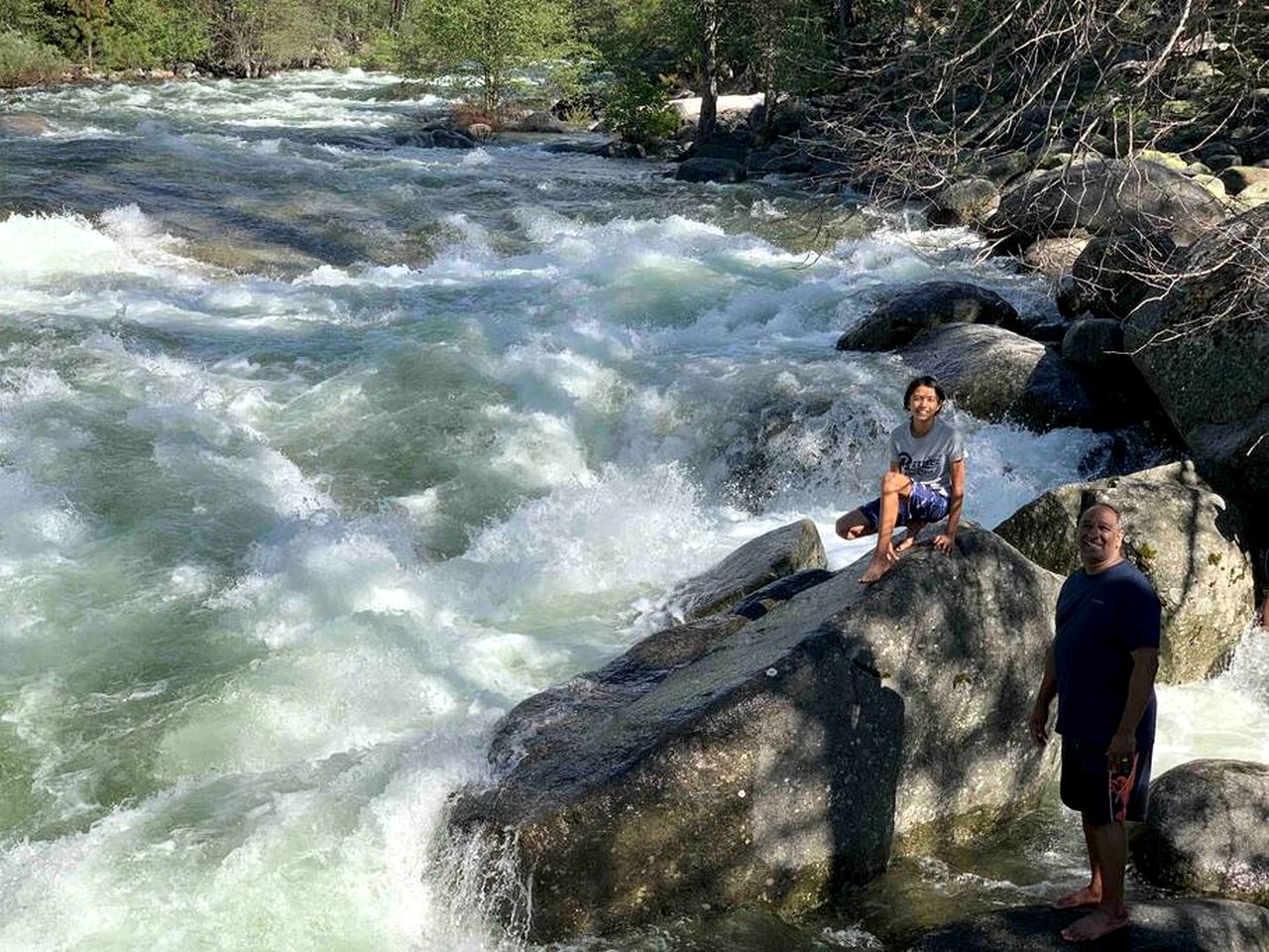 Breathtaking Cabin with Stunning Forest Sights in Wawona, California
