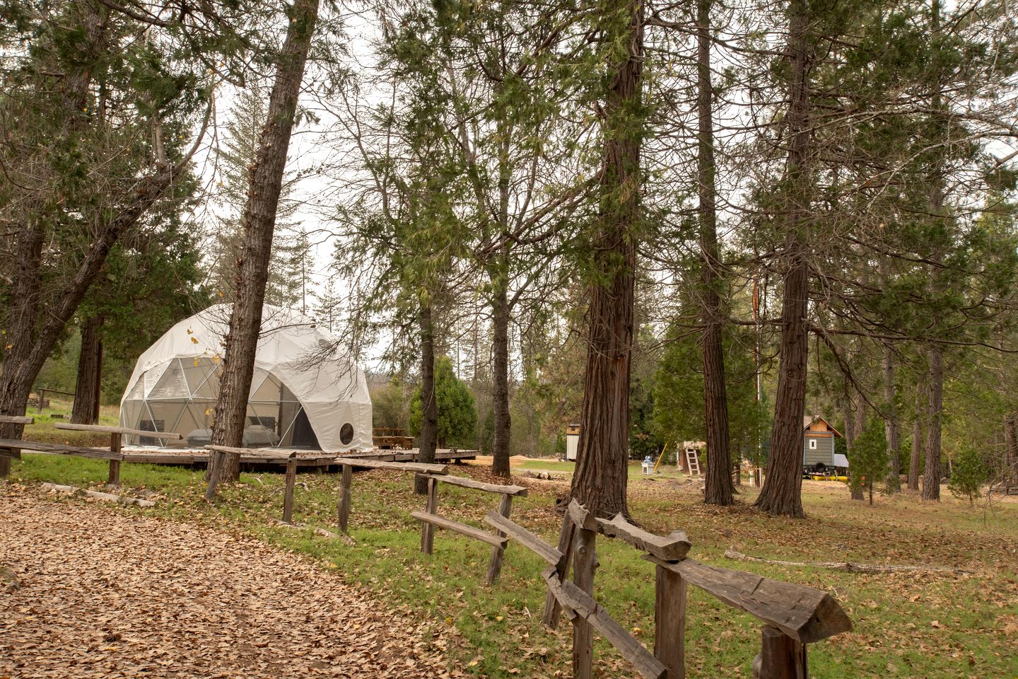 Cozy Nature-Filled Home with Garden & Night Sky Views Near Yosemite Tioga Pass, Groveland CA