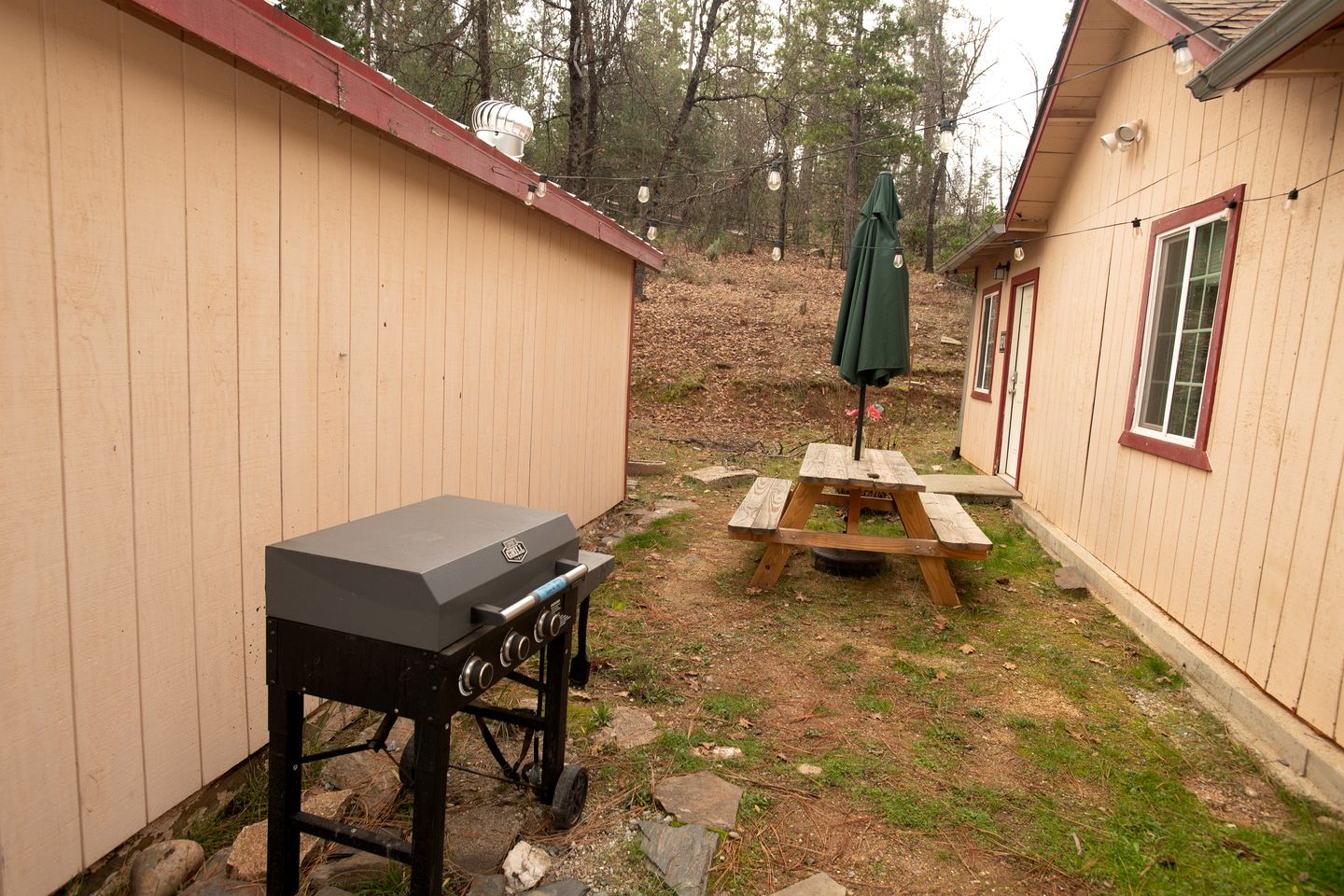 Cozy Nature-Filled Home with Garden & Night Sky Views Near Yosemite Tioga Pass, Groveland CA