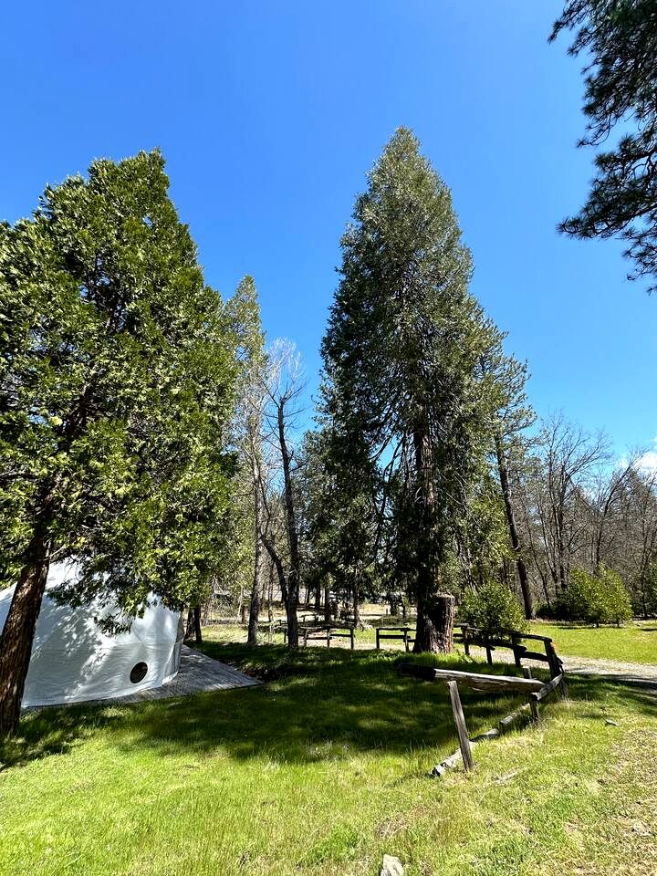 Cozy Nature-Filled Home with Garden & Night Sky Views Near Yosemite Tioga Pass, Groveland CA