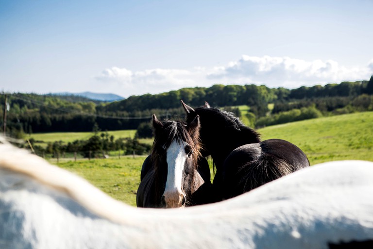 Caravans (Rathdrum, County Wicklow, Ireland)