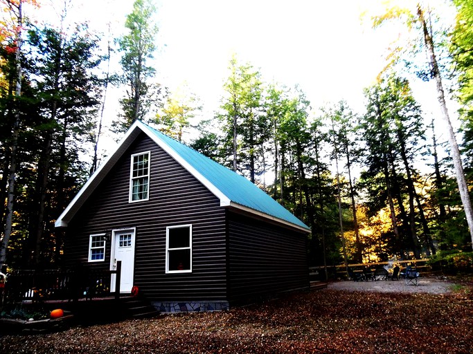 Brown log cabin rental with green roof surrounded by pine trees near Oneida Lake, New York.