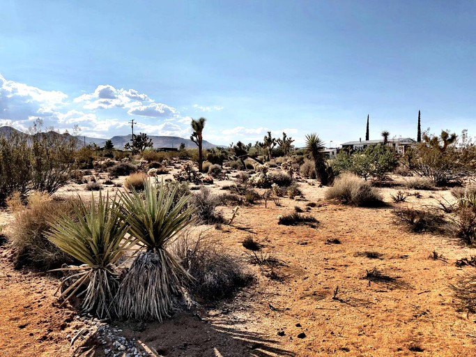 Vacation Rentals (United States of America, Yucca Valley, California)