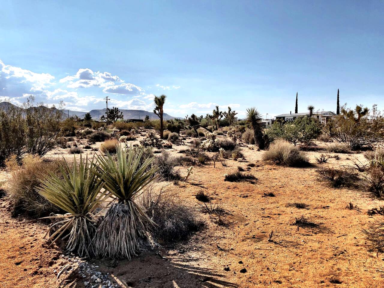 Yucca Valley Glampiing Spot with Hot-Tub and Full Amenities