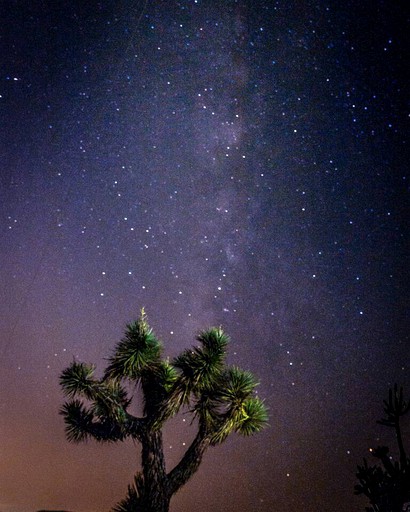 Vacation Rentals (United States of America, Yucca Valley, California)