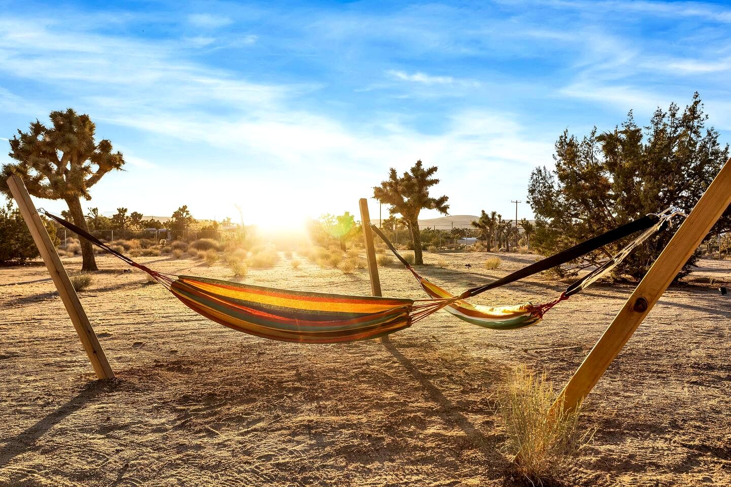 Yucca Valley Wonderland: Embark on a Unique Desert Adventure
