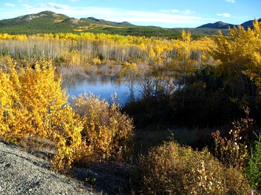 Remote Log Cabin Rental near Whitehorse in Yukon - Photo 2