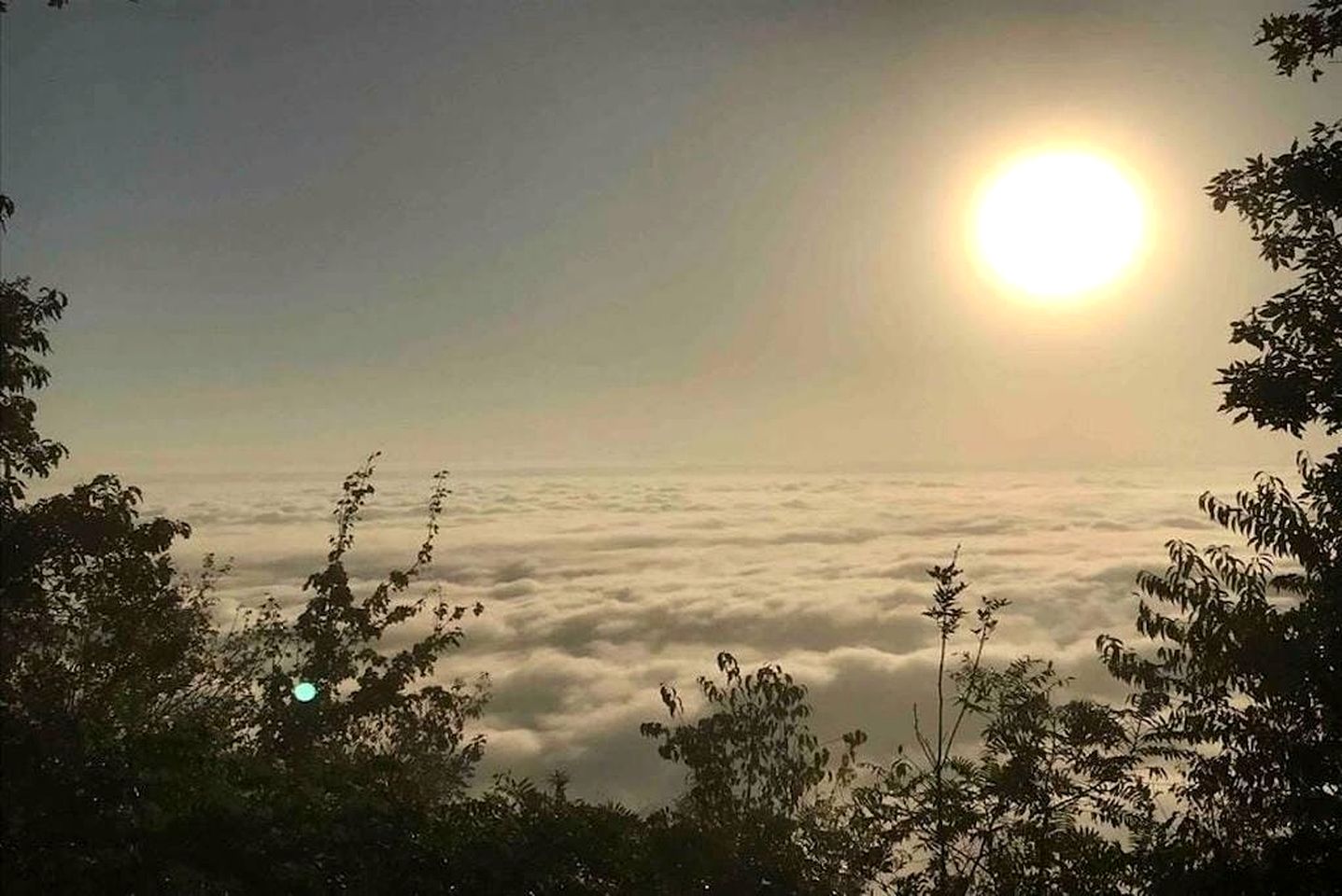 Mountaintop Luxury Yurt Rental for Georgia Glamping