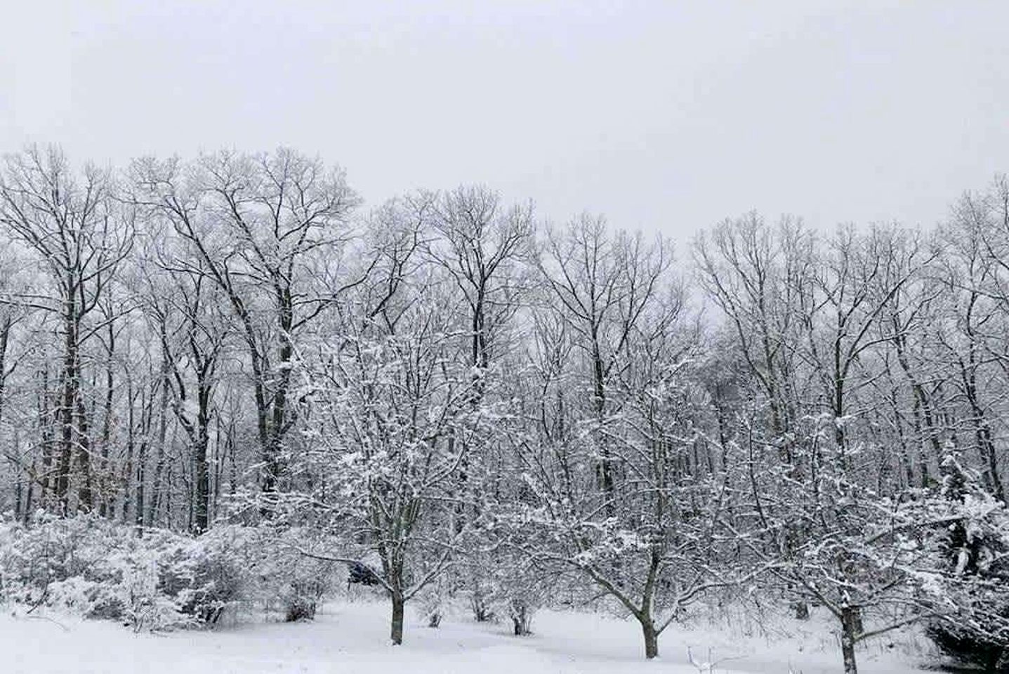 Mountaintop Luxury Yurt Rental for Georgia Glamping