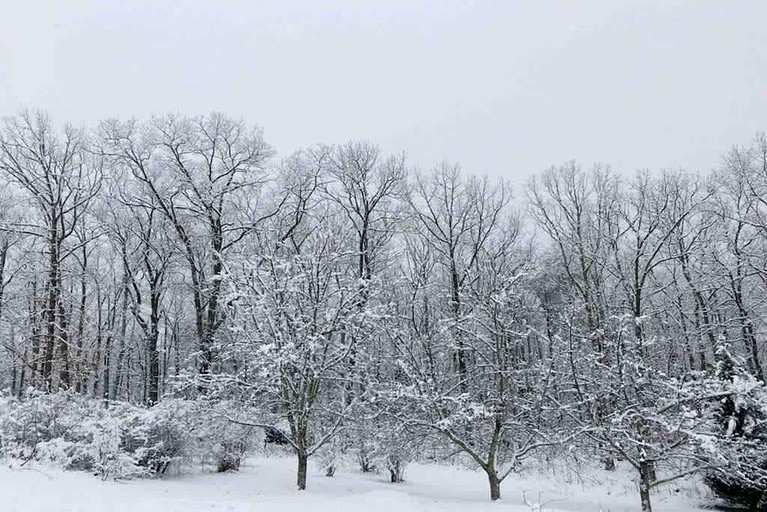 Yurts (United States of America, Rising Fawn, Georgia)