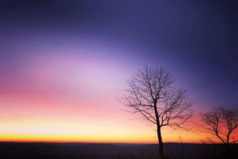 Yurts (United States of America, Rising Fawn, Georgia)