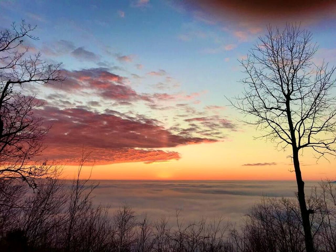 Lookout Mountain Yurt Rental for a Glamping Nature Escape