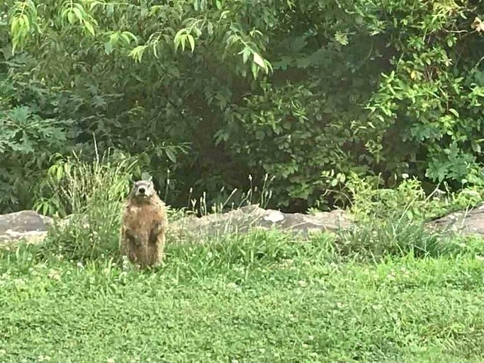 Vacation Rentals (United States of America, Rising Fawn, Georgia)