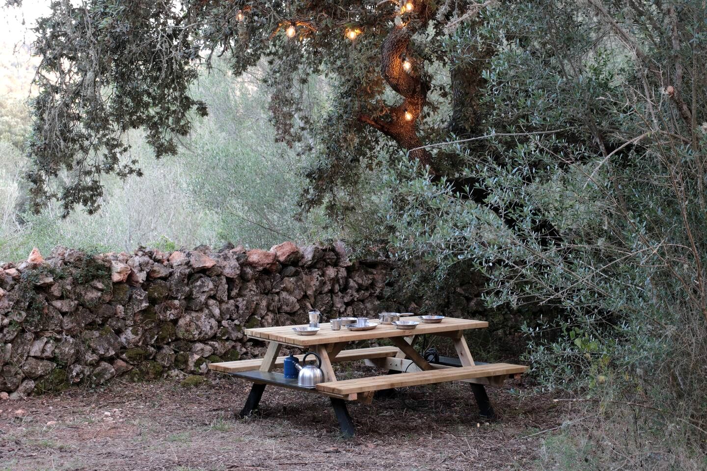 Rustic Eco Yurt Retreat with Solar Power and Forest Trails near Tramuntana Mountains, Mallorca
