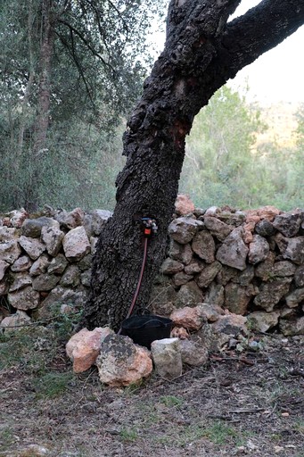 Yurts (Spain, Llubi, Balearic Islands)