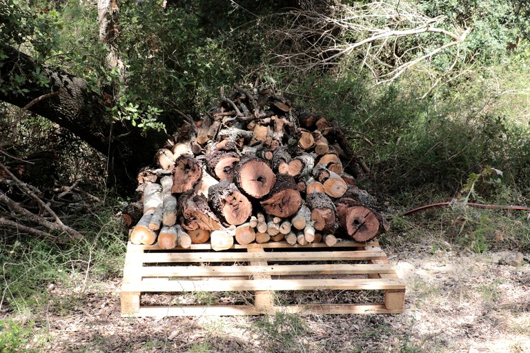 Yurts (Spain, Llubi, Balearic Islands)