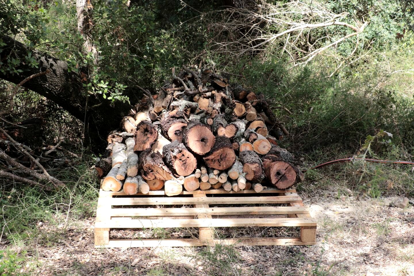 Rustic Eco Yurt Retreat with Solar Power and Forest Trails near Tramuntana Mountains, Mallorca