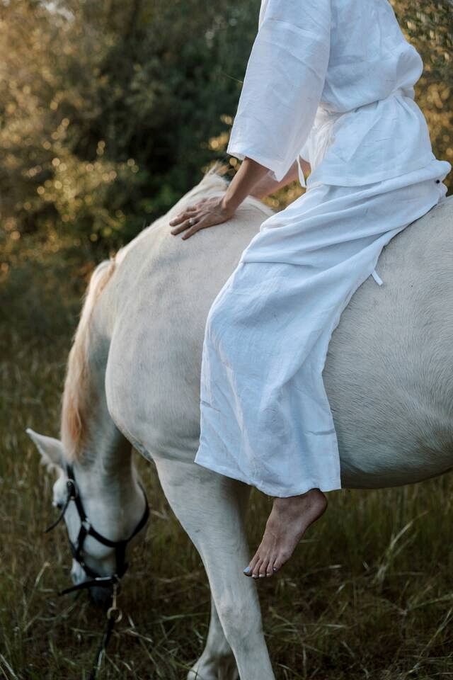 Rustic Eco Yurt Retreat with Solar Power and Forest Trails near Tramuntana Mountains, Mallorca