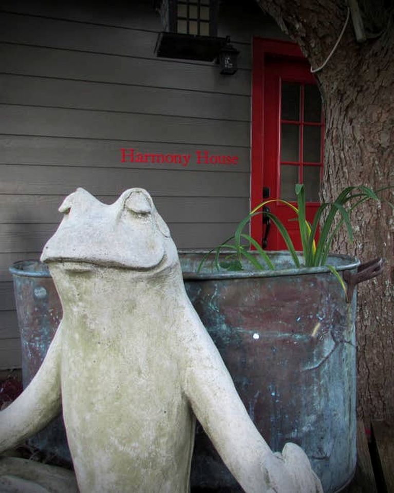 Zen by the River: Pet-Friendly Retreat in Beautiful Bastrop, TX