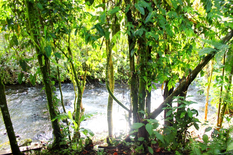 Nature Lodges (Salento, Quindío, Colombia)